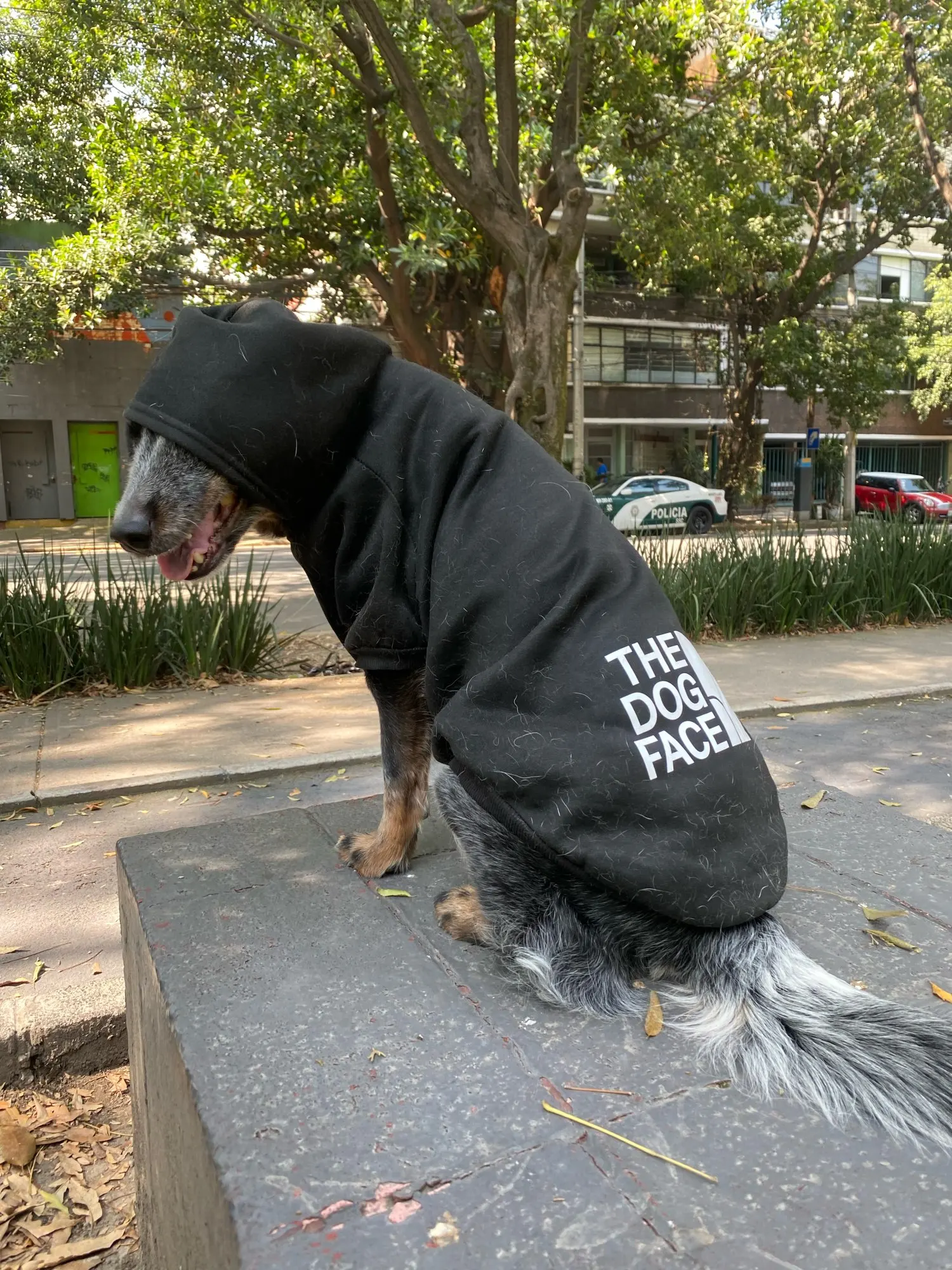 Sudadera Para Perros "THE DOG FACE"