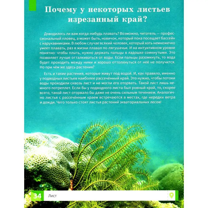Книга Растения Филатов Максим Алексеевич (art.: 3920c1200ca1f) - 3920c1200ca1f