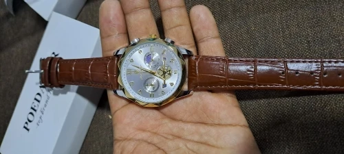 POEDAGAR Luxury Watch for Men photo review