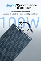 Panneau solaire flexible ETFE 100W 12V monocristallin, adapté aux camping-cars, au camping, aux bateaux, aux caravanes, aux voitures, etc. 2