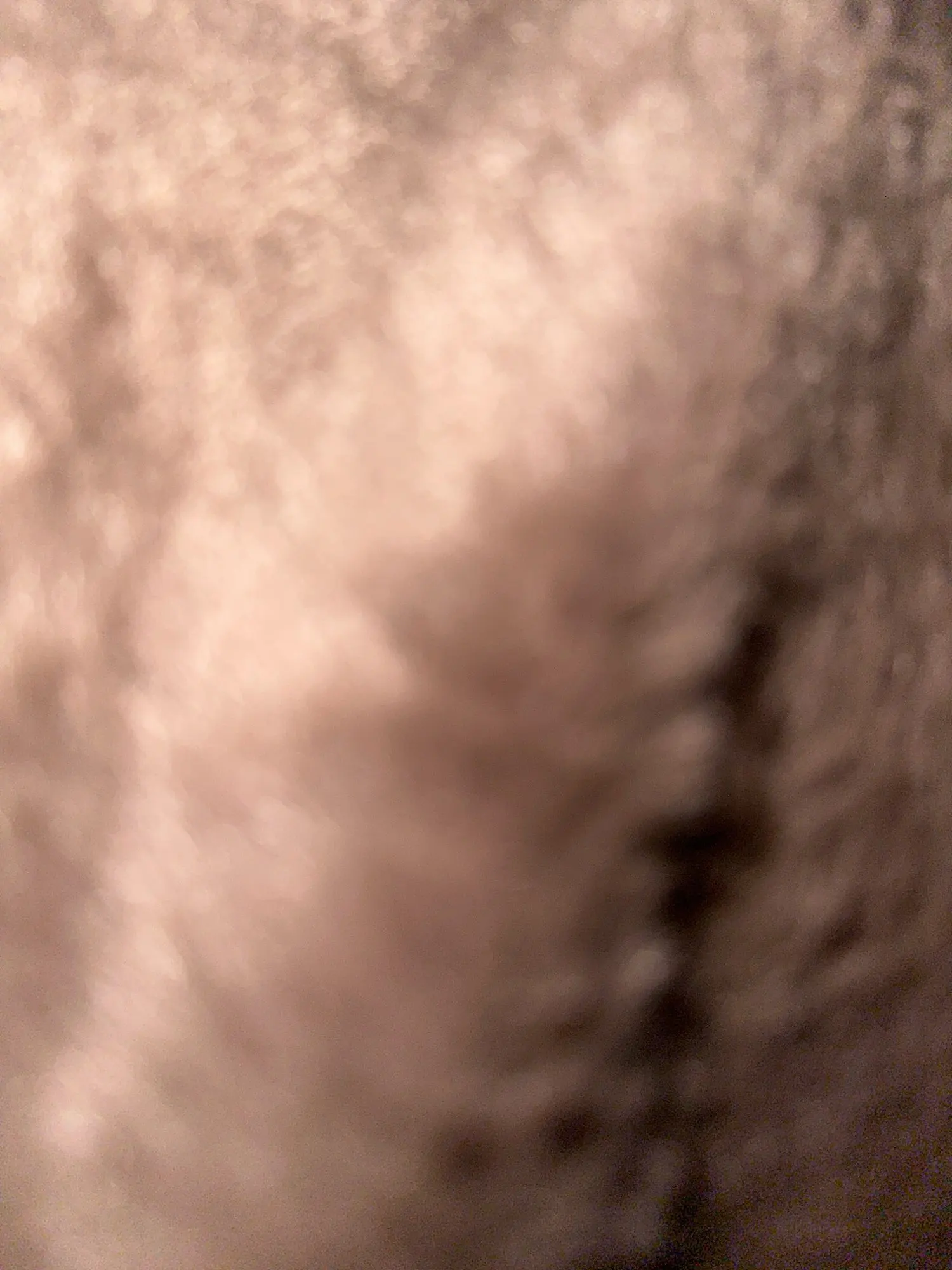 Kawaii Teddy Bear Plush Pillow photo review