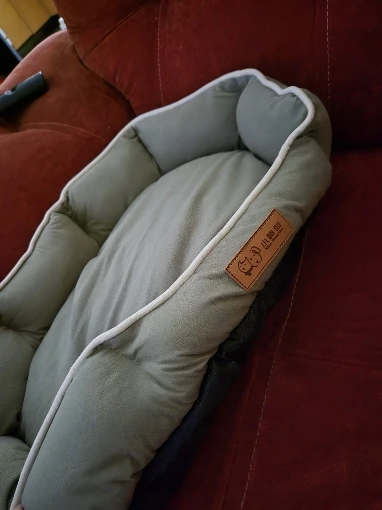 Cama Beige De Felpa Para Perro