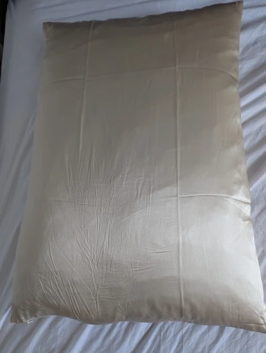 Taie d'oreiller en soie 19 Momme - Taupe