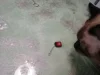 Изображение товара 5