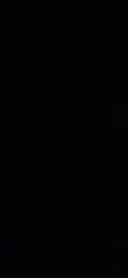 Cortauñas profesional para mascotas con luz Led, tijeras de aseo con garra para mascotas, para perros, gatos, animales pequeños, cortauñas para patas, suministro para mascotas photo review