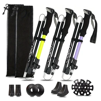 Folding Trekking Pole 1