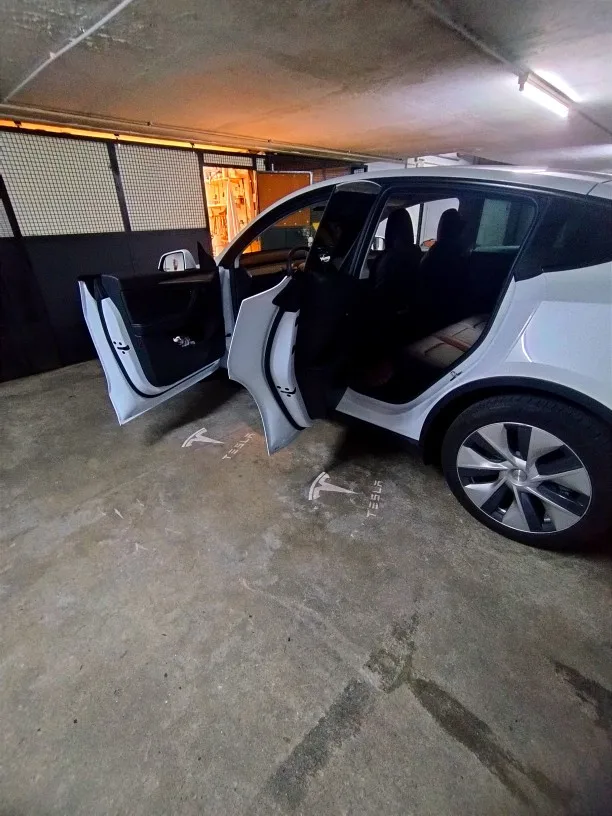 Midnight Glow, Tesla Projector Doors Lights customer photo