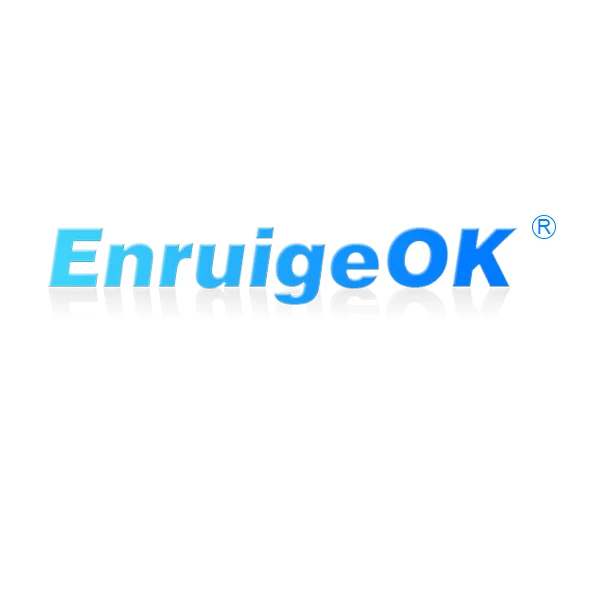 ENRUIGE Professional Vehicle Electronic Store