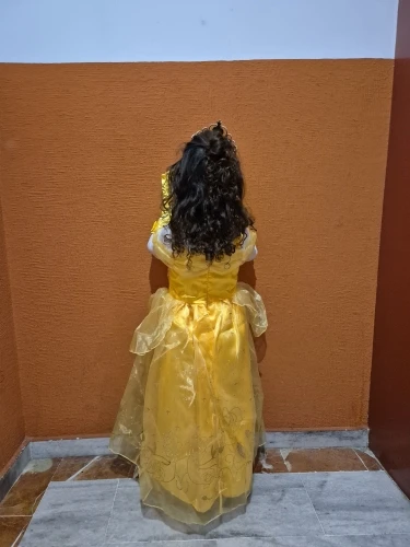 Vestidos de princesa para niños, disfraz de fiesta de Bella, ropa de flores de cumpleaños y Navidad, disfraz de fantasía de La Bella y La Bestia photo review