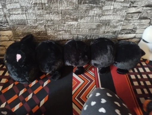 Caterpurr Cats - Adorable Long Cat Caterpillar Stuffed Plush