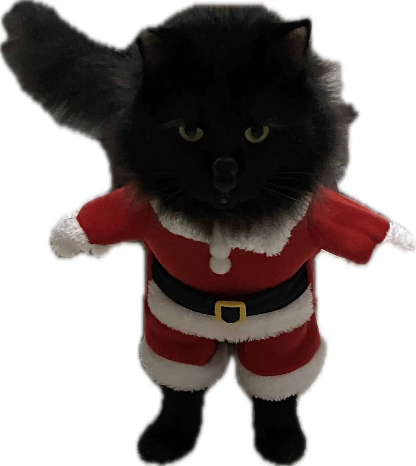 Funny Christmas Santa Claus Costume for Small Cats and Dogs - Get Your Pet in the Holiday Spirit with Festive Winter Outfits photo review
