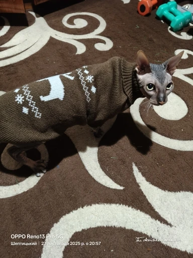 Cozy Knitted Christmas Sweater