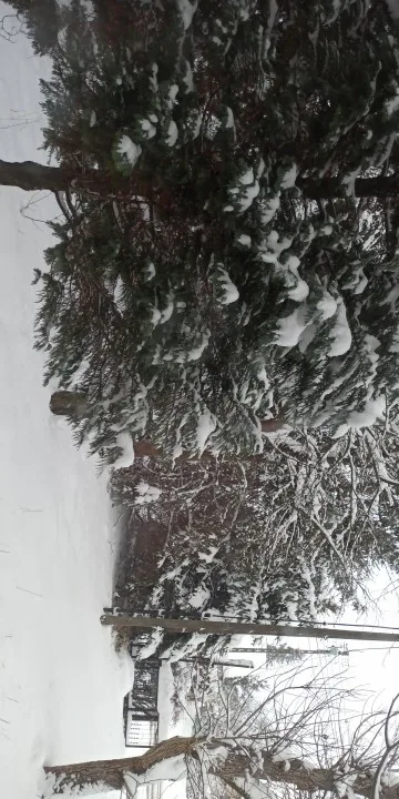 5MP 2MP 1080P HD Onvif P2P Size 38*38mm Audio Wireless IP Camera Module Mini Wifi SD Card Slot Camhi Home Security Camera System photo review