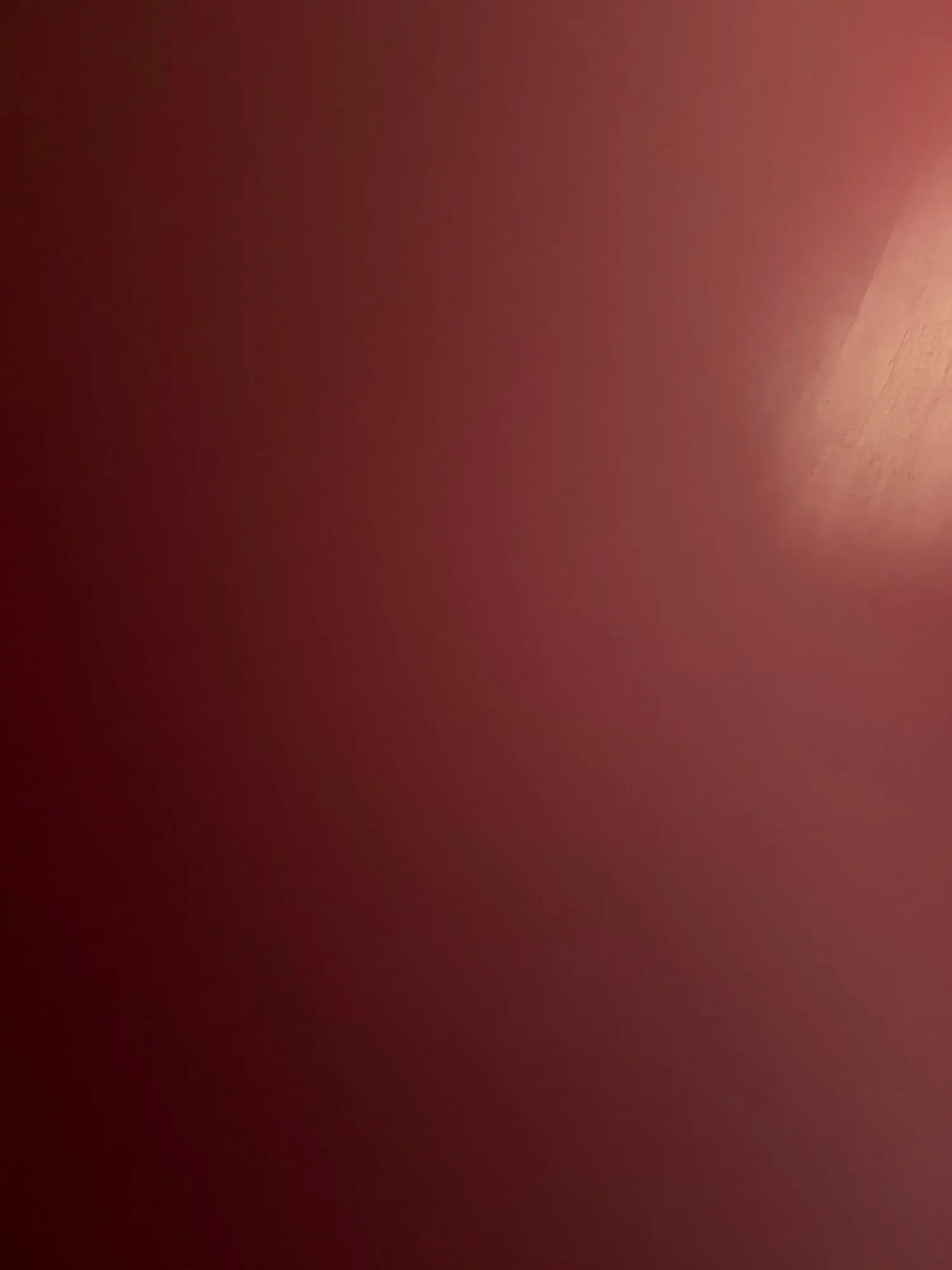 Tree of Life Bracelet | Elegant Gold Charm Design photo review