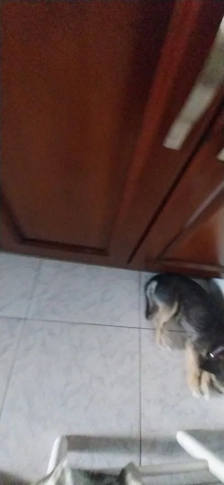 Impresora térmica portátil A4 sin tinta, máquina de impresión de documentos de palabras, Bluetooth, PDF, Excel, rollo de papel para oficina, trabajo, hogar y escuela photo review