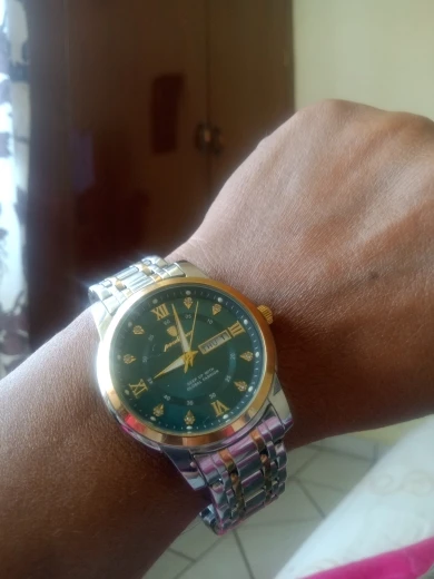 POEDAGAR Luxury Watch for Men photo review