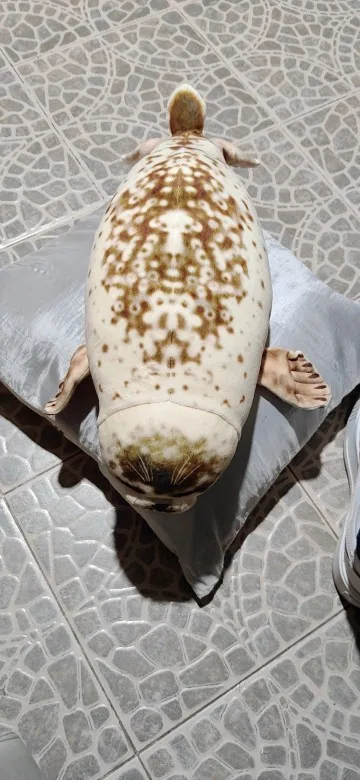 Foquinha Serena Fofeza® de Pelúcia