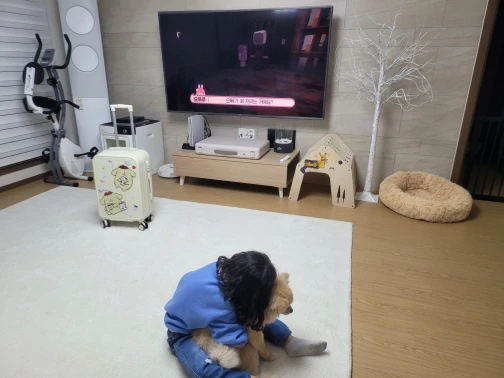 Plush Donut Dog Bed: Cozy Comfort for Dogs and Cats Alike photo review