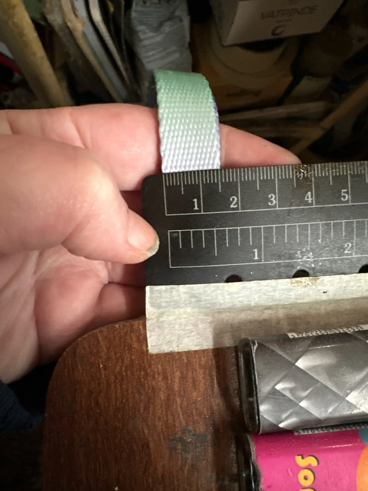 Sweet Treat: Macaron Nylon Dog Collar for Dogs of All Sizes photo review