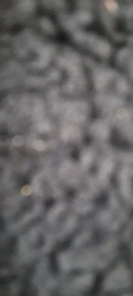 Luxe Polyester O-Neck Tee - Slim Fit Summer Essential photo review