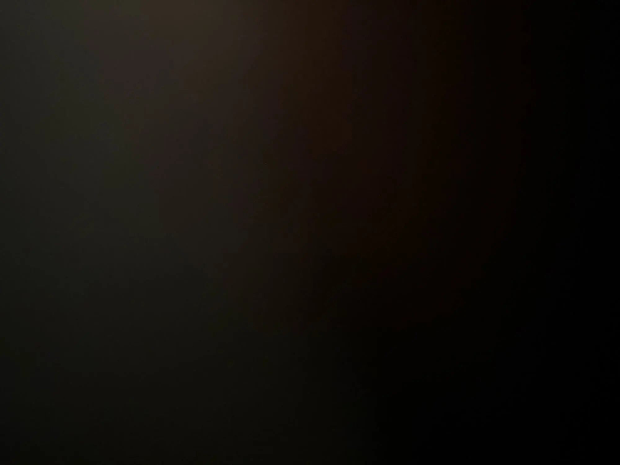 Fleece Pet Sniffing Mat with Built-In Squeaky Toy