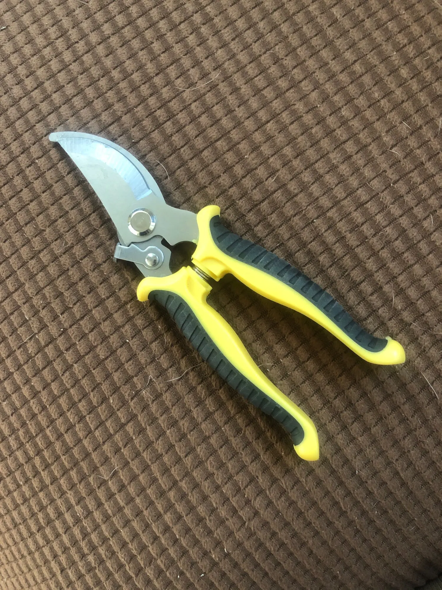 Stainless Steel Professional Gardening Shears Pruning branches Fruit trees Flowers Household Pruning Tools Shears photo review