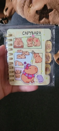 Capybara Notebook Collection photo review