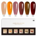 2323 jelly color kit