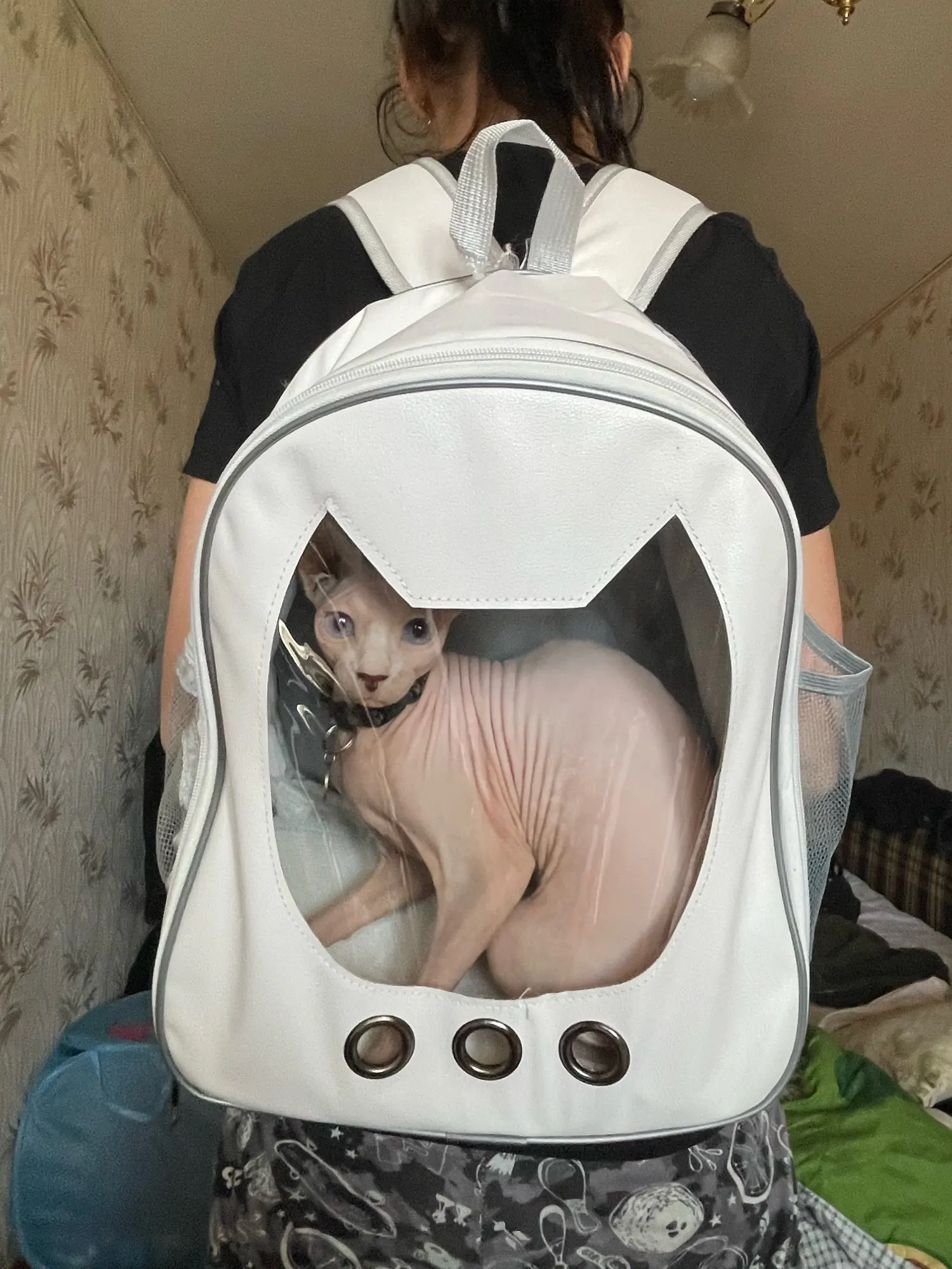 Comfy Cat Carryall: Transparent Breathable Backpack for Purr-fect Adventures photo review