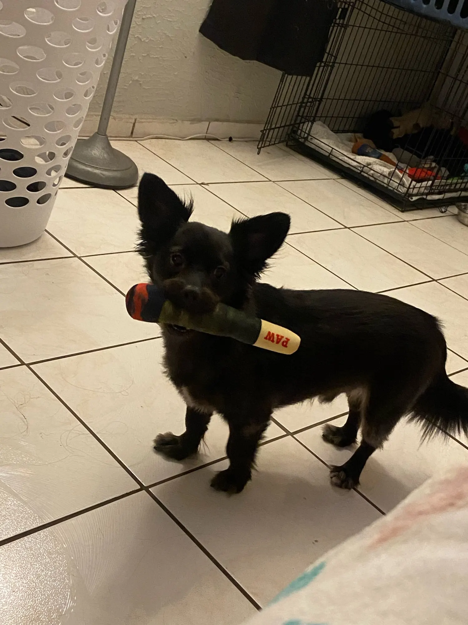 Juguete de peluche para mascotas, juguete creativo para masticar para perros pequeños y grandes photo review