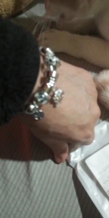 Silver Charm Bracelet | Elephant & Life Tree Design photo review