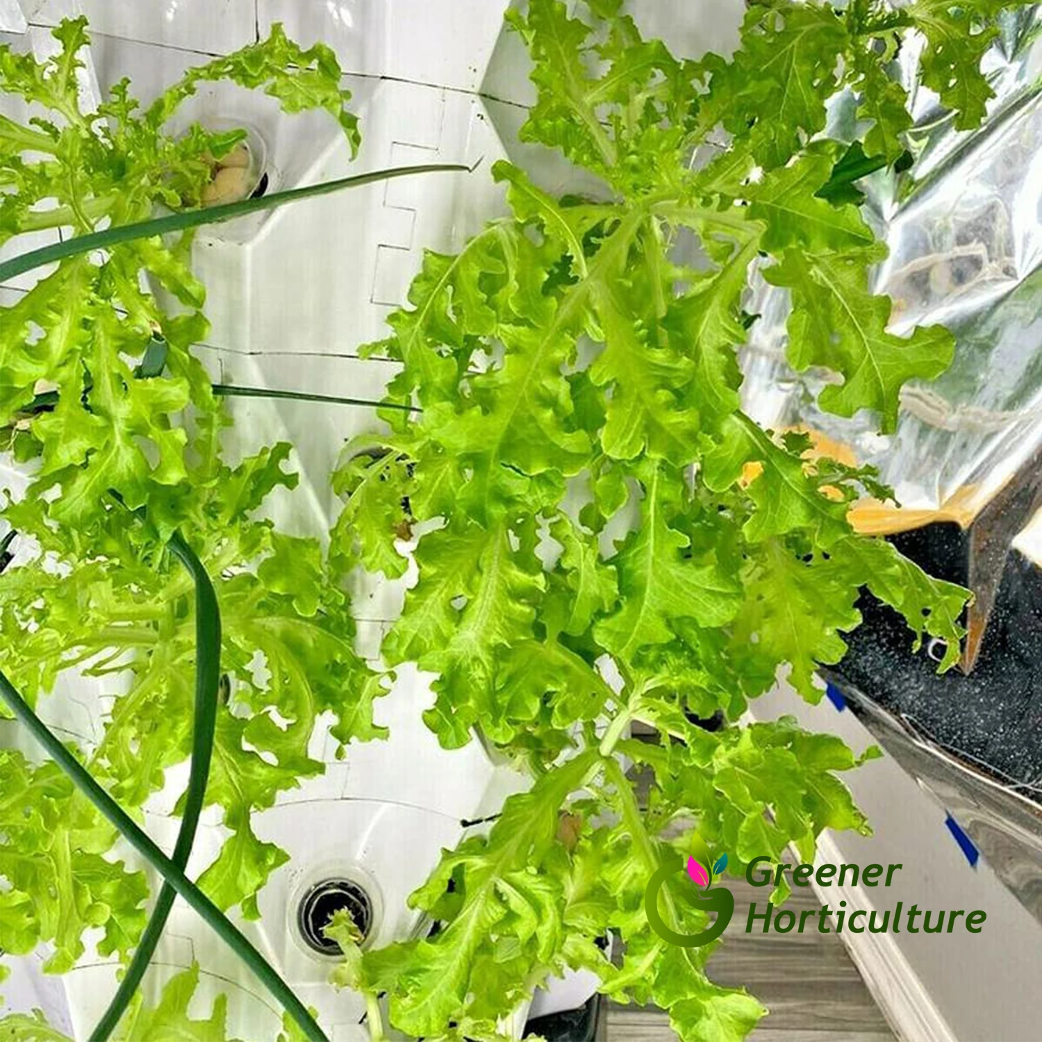 Agricultural greenhouse hydroponic garden Irrigation vertical hydroponic system 10 Layers Pineapple tower