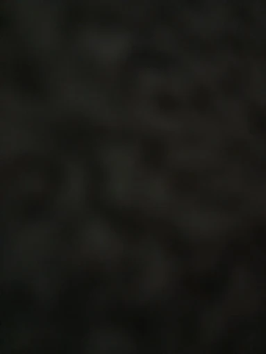 Cute Bear Plush Toy 20cm photo review