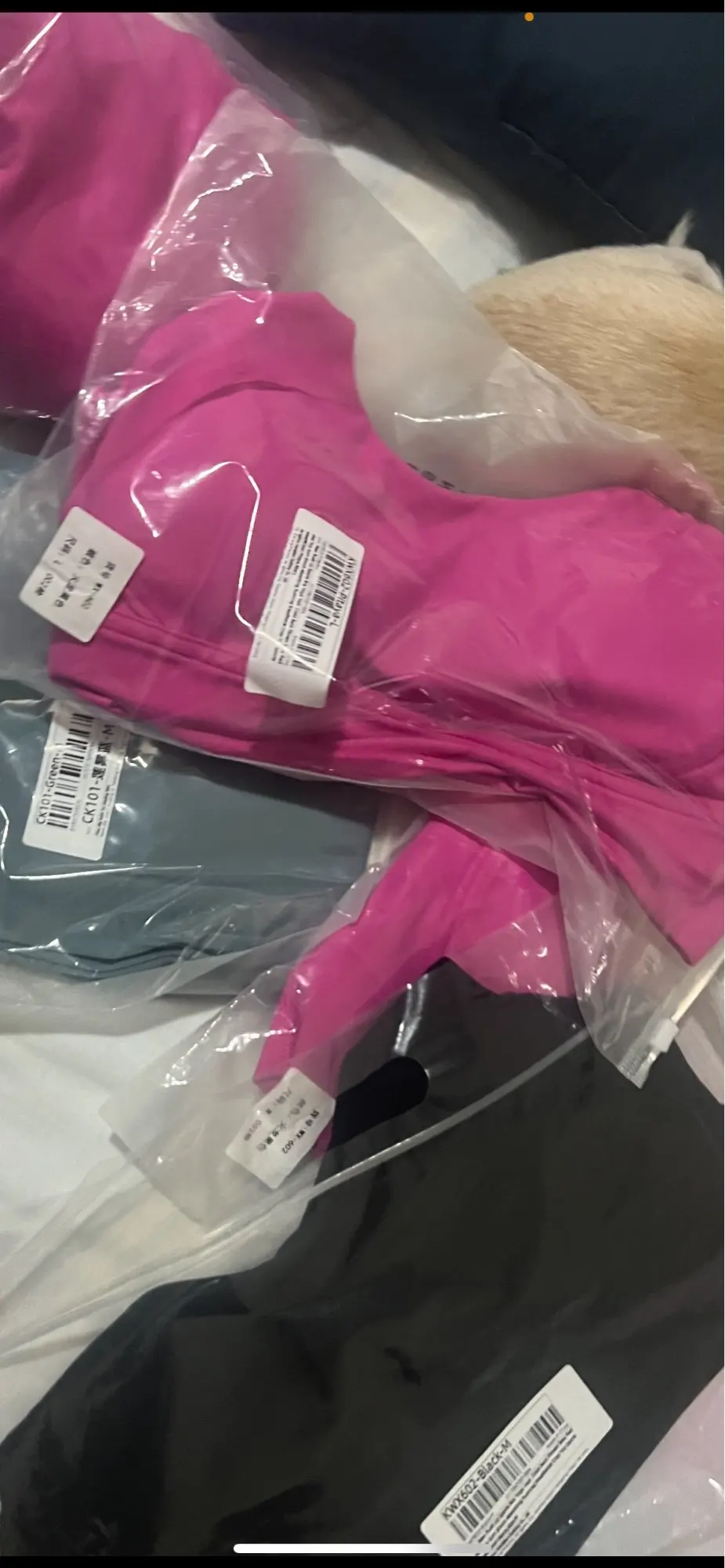 Sexy Sports Bras Racerback Yoga Bra Tank Top Women Fitness Gym Shockproof Seamless Running Workout Fast Dry Underwear Vest photo review