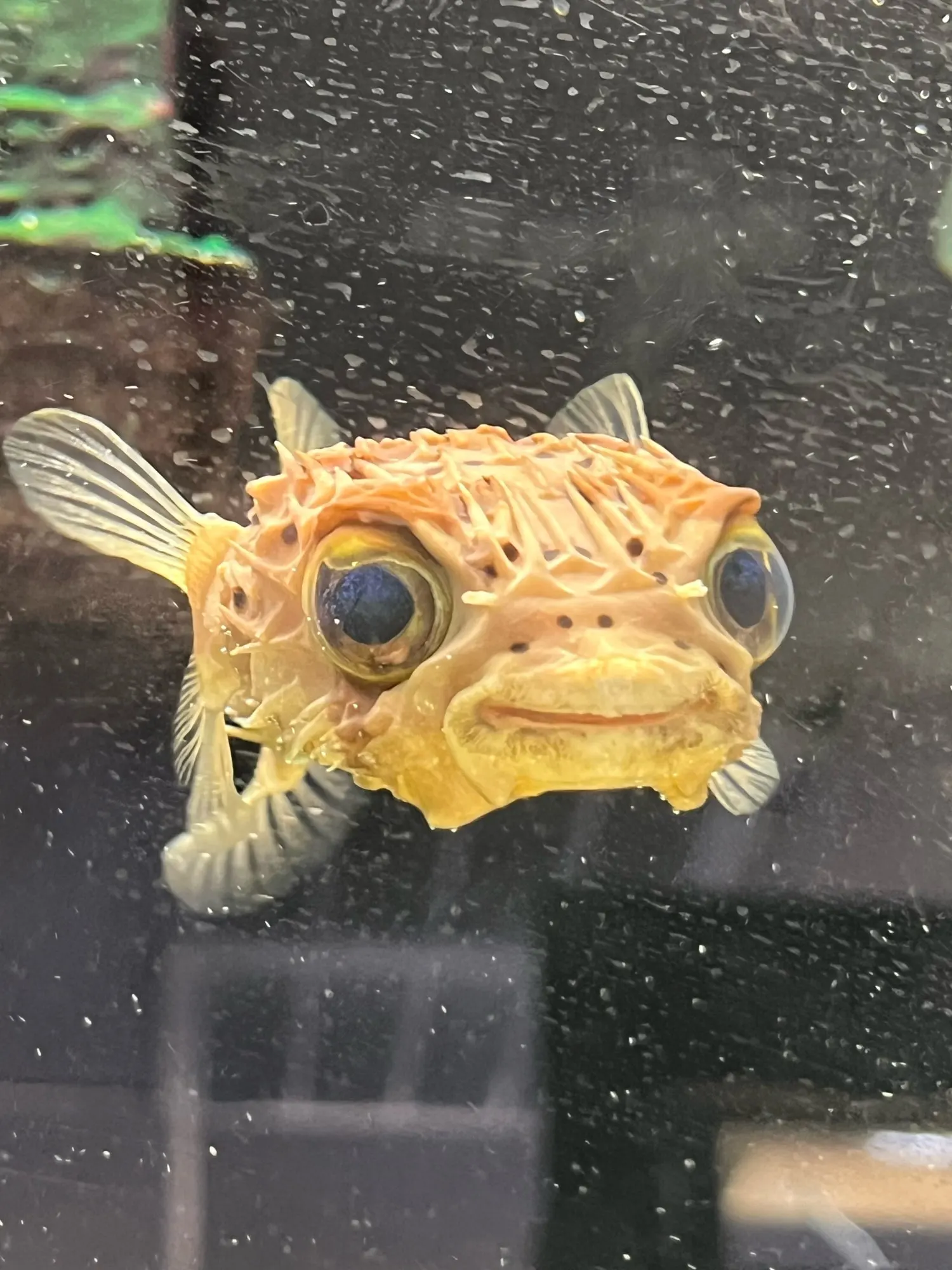 Off-Shoulder Blouse and Skirt Set - Jirai Kei Aesthetic photo review