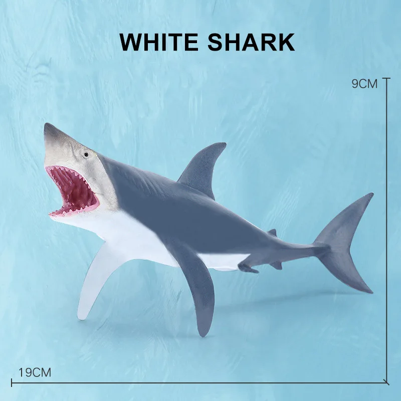 White Shark