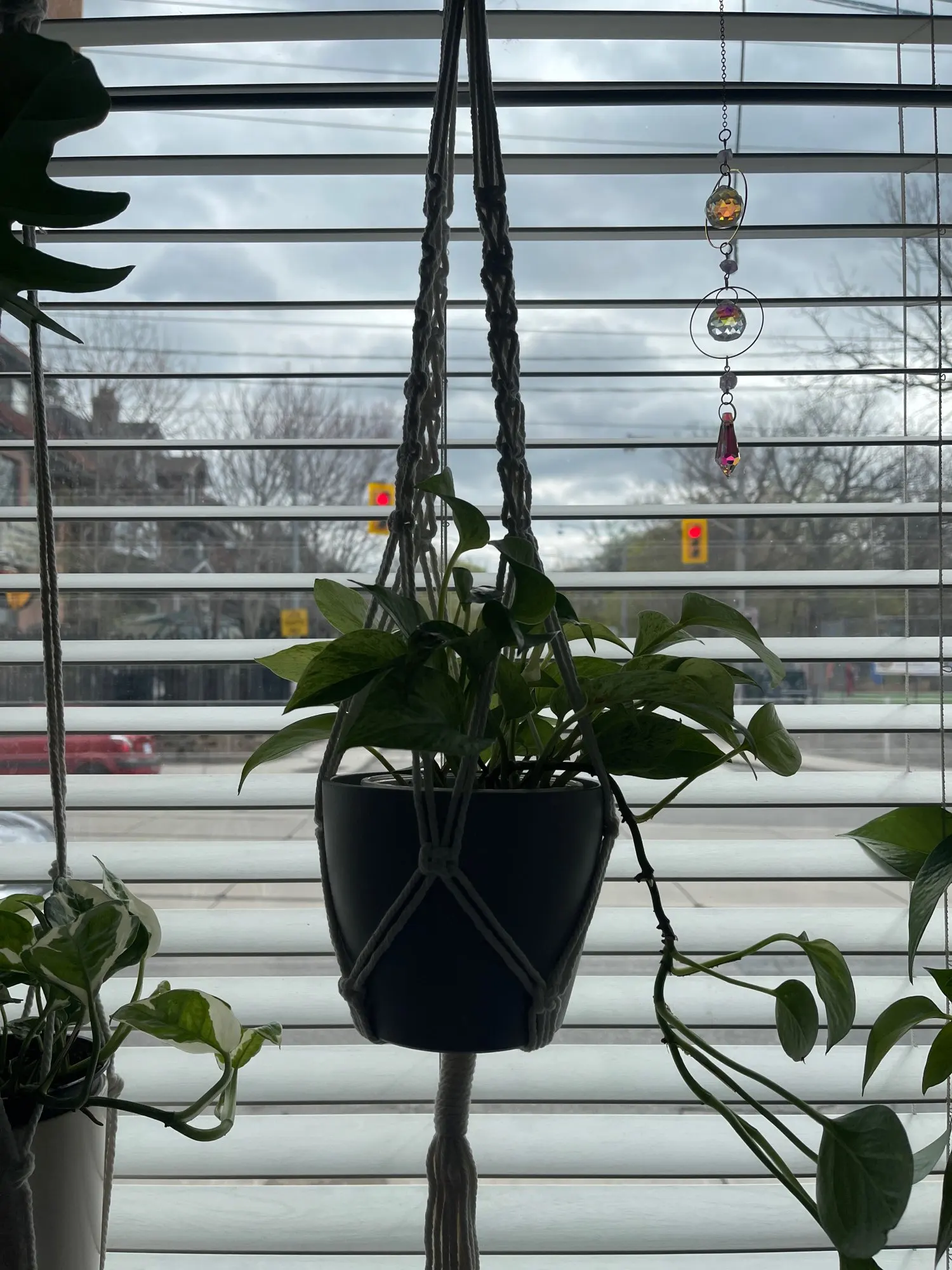 Macrame Handmade Plant Hanger Baskets photo review