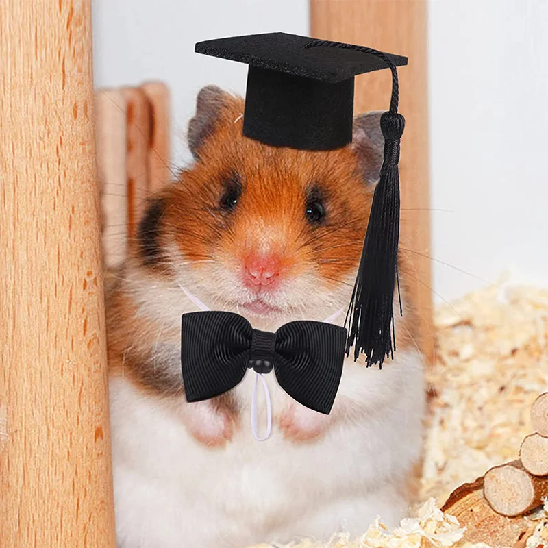 Guinea Pig Hat and Bowtie 2Pcs/Set Hamster Costume Outfit Rats Chinchilla Cap Hedgehog Hat Small Pet Items Accessories Small Animal Clothes