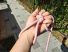 8MM Polyester Braid Cord 10meters Pet Leash Safety Rope Outdoor Thick Macrame Cord for Bag making and DIY Handmade Accessory 5