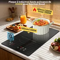 Plaque induction 2 feux 3500W, Table de Cuisson à Induction Encastrable 30CM, Commande Tactile, 9 Niveaux de Puissance, Minuterie, Boost, Verrouillage de Sécurité, 220V, sans Prise 2