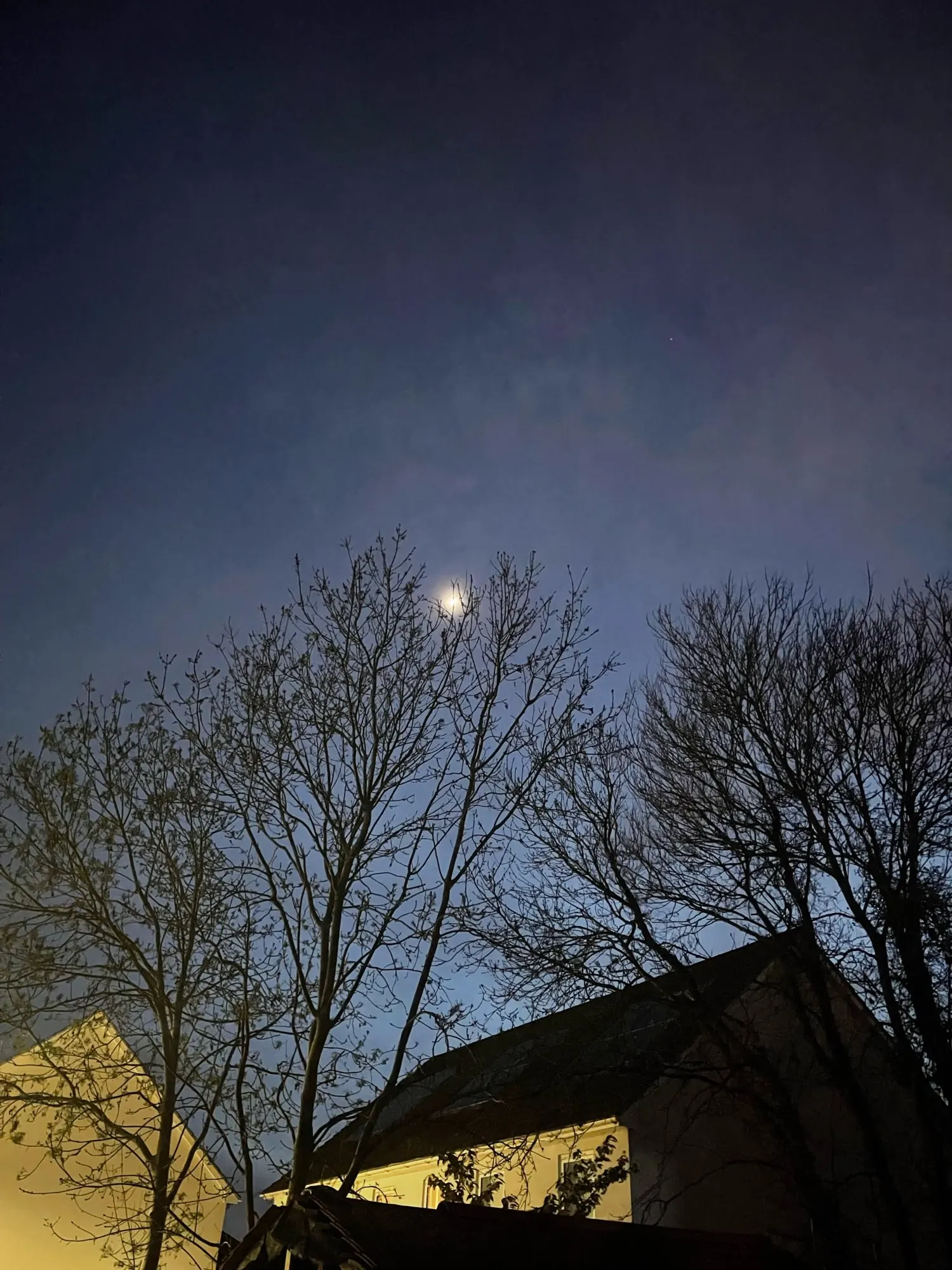 Thin Plain Shawls  Rayon Headscarf photo review