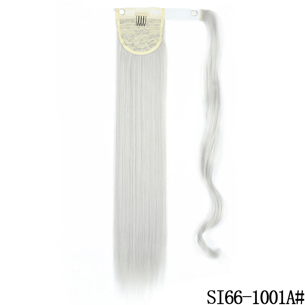 SI66-1001