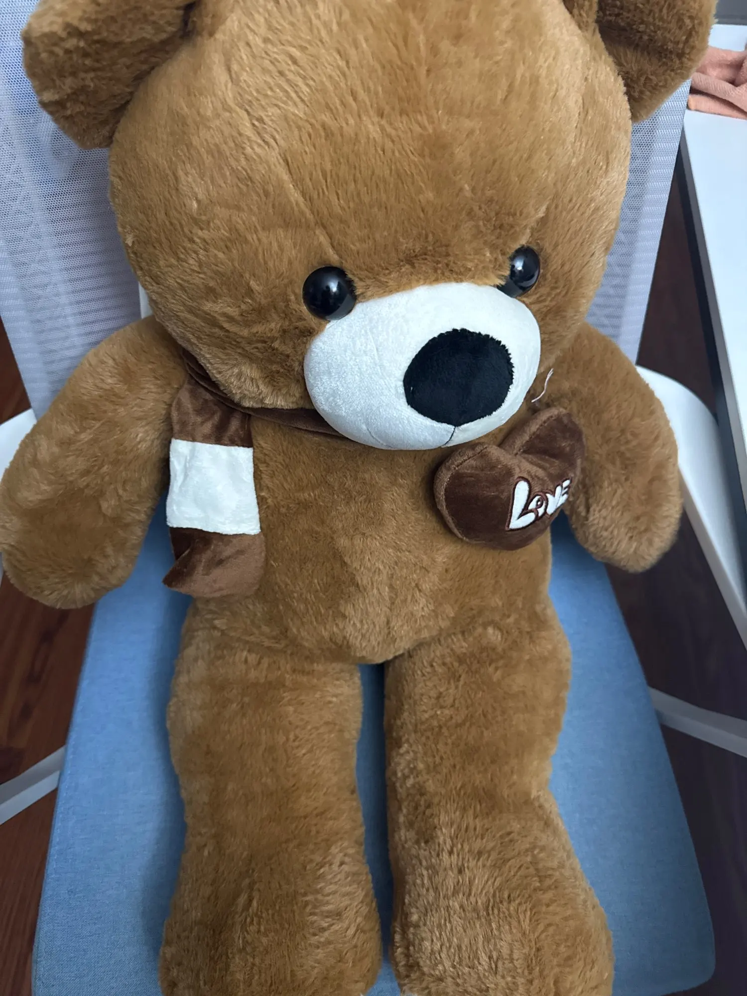 Teddy Bear With Scarf photo review