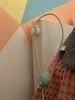 Изображение товара 3
