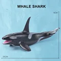 Killer Whale