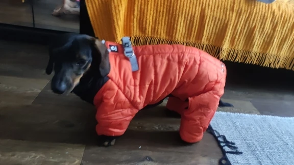 «HOOKLOOP» Orange Winter Jacket