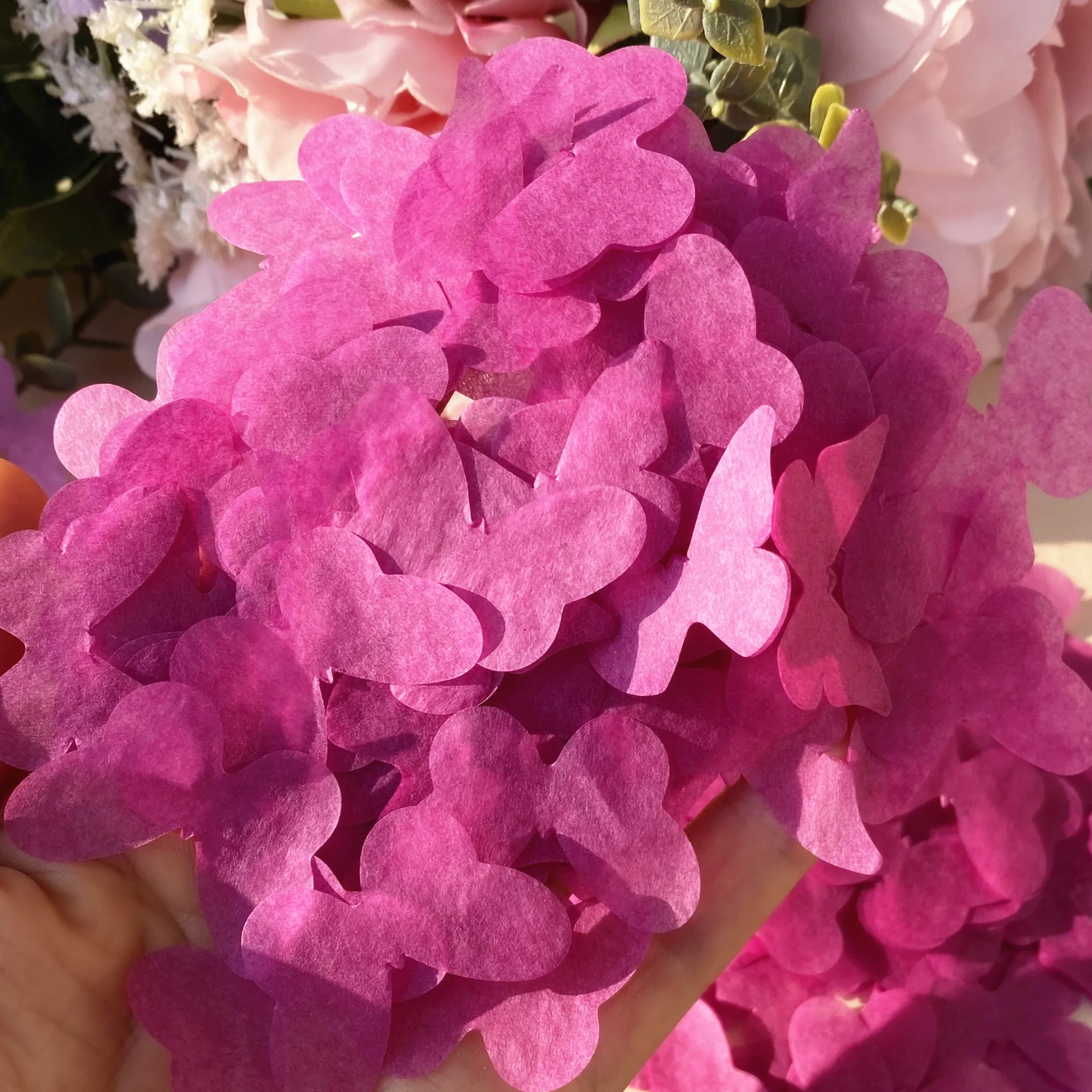 6 Cannoni Coriandoli Matrimonio A Forma Di Farfalla Bianca – 30,5 Cm Per Un Lancio Spettacolare Fino A 7,6 Metri! Biodegradabili Per Festa Indimenticabile