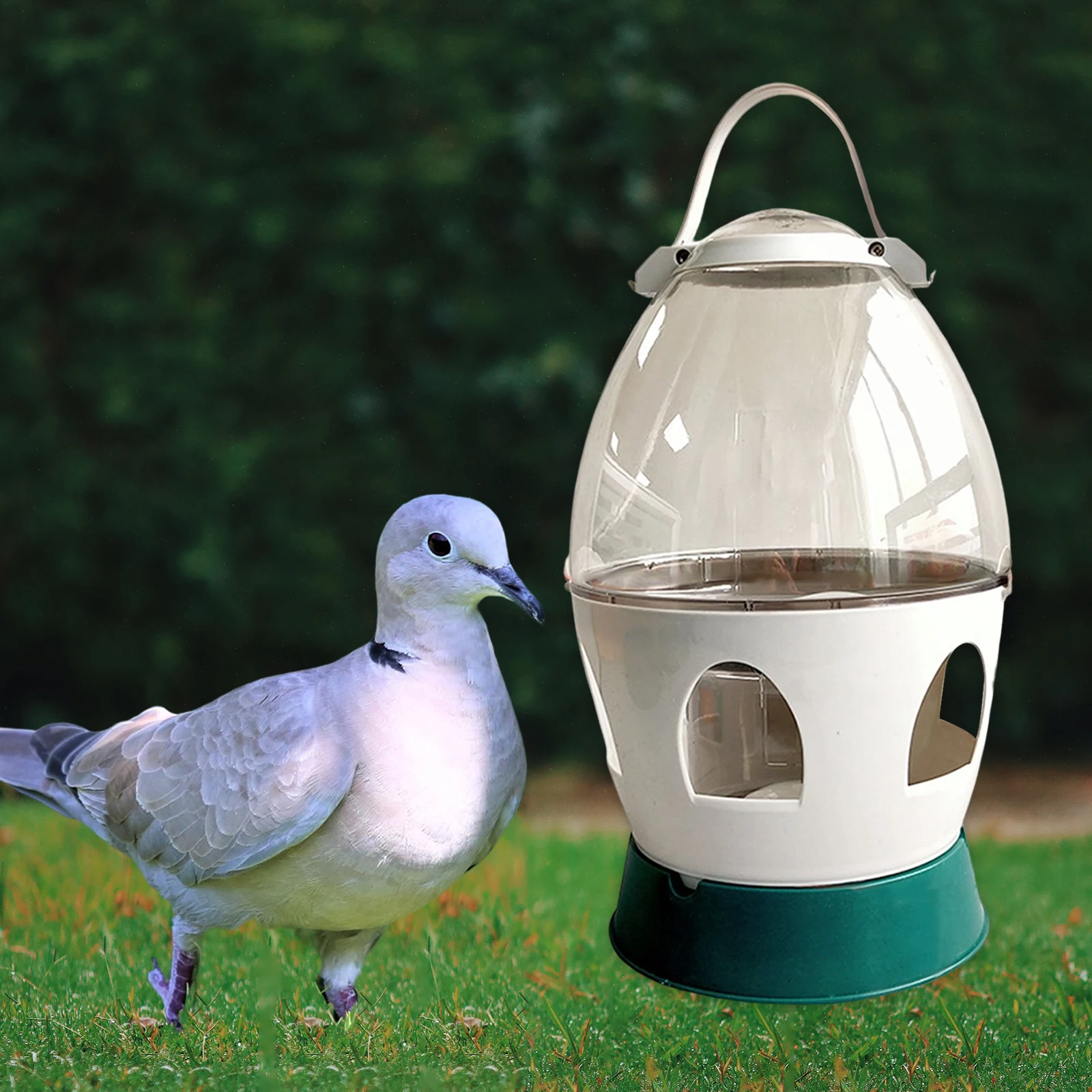 Pigeon water dispenser automatic feeder water container handle bird feeding drinker for dove duck bird cage accessories bird water drinker