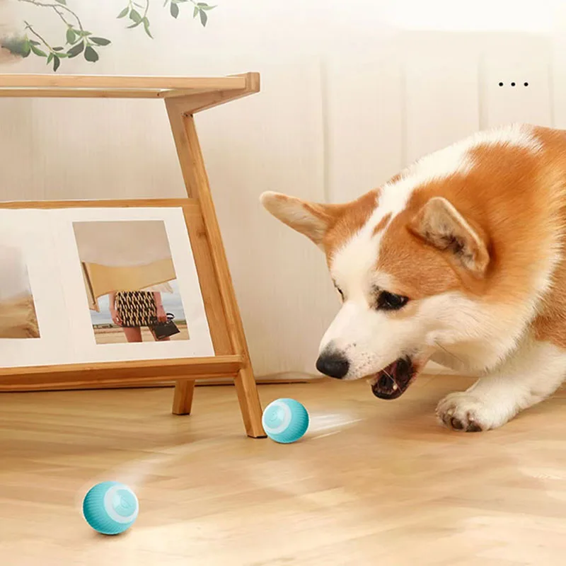 Balle électrique à roulement automatique pour chat, jouets intelligents pour chatons, entraînement auto-mobile, pour jeu interactif d'intérieur