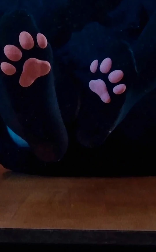 Cat Paw Socks photo review